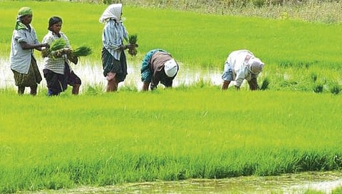 Farmers Schemes : शेतकर्‍यांसाठी ‘या’ योजना आहेत वरदान, जाणून घ्या सविस्तर