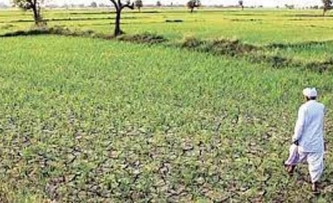 दुष्काळी तालुक्यांत पथक आता थेट बांधावर