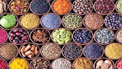 Spices : हिवाळ्यात ‘हे’ मसाले खाल्‍ल्‍याने शरीर राहते ऊबदार