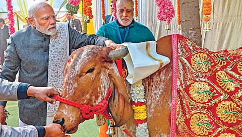 पंतप्रधान मोदींचे दैनंदिन अनुष्ठान सुरू!
