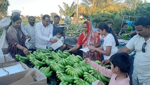 Nashik News : कांदानगरीत केळीचा तोरा, पाचोरे येथील शेतकऱ्याचा माल थेट आखातात