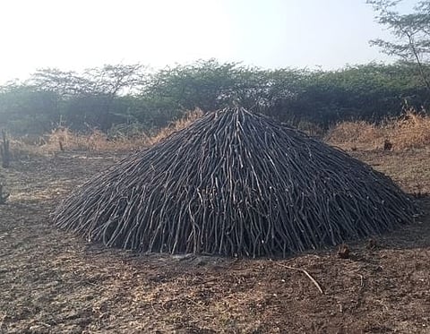 भीमा नदीपट्ट्यात कोळसा तस्करांवर कारवाई : वन विभाग आक्रमक 