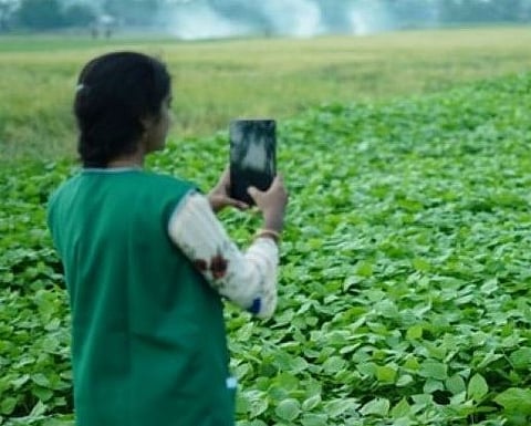 ई-पीक पाहणी अ‍ॅपचा 148 तालुक्यांत वापर..