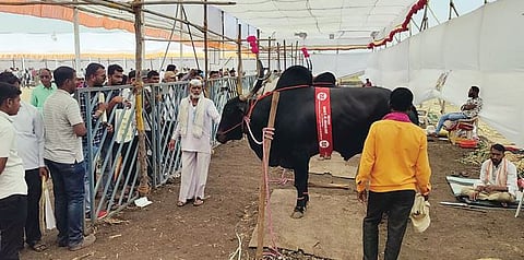 परराज्यातील शेतकर्‍यांना कृषिकचे आकर्षण..
