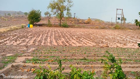 नांदगावात वादळी वाऱ्यासह पावसाची हजेरी