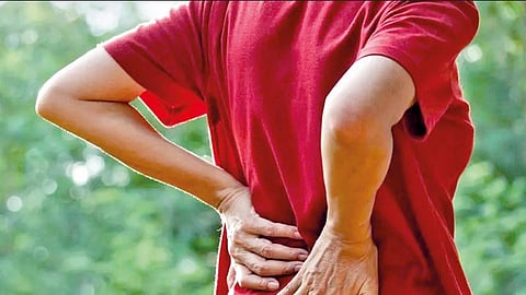 Back Pain 