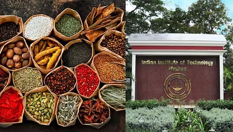 IIT-Madras : कर्करोगावरील उपचारासाठी भारतीय ‘मसाले’ प्रभावी; IIT मद्रासच्या संशोधकांनी घेतले पेटंट