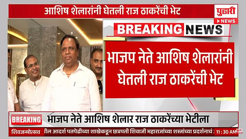 आशिष शेलारांनी घेतली राज ठाकरेंची भेट; भाजप-मनसे युतीच्या चर्चांना उधाण