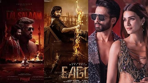 Salaam-Eagle-TBMAUJ