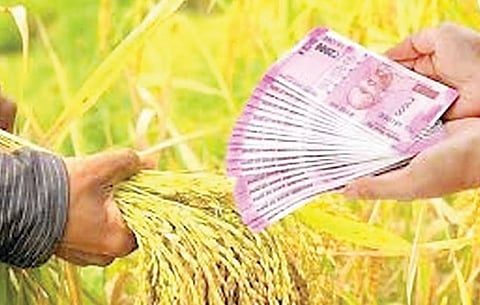 डिसेंबरपर्यंत 5 हजार 763 कोटींचे पीककर्ज; जिल्हाधिकार्‍यांची माहिती