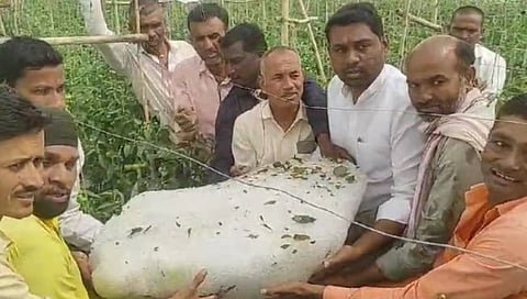 ५० किलोची गार