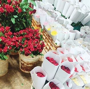 Valentine’s Week : व्हॅलेन्टाईनसाठी यंदा मावळातून गुलाबांचे विक्रमी उत्पादन