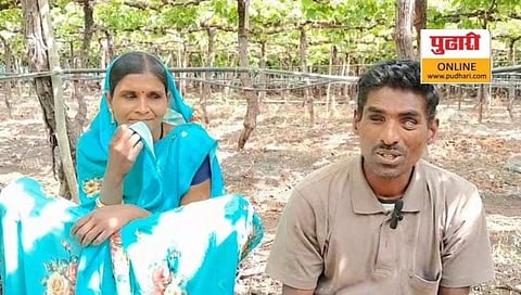 पिंपळगाव बसवंत : दावचवाडी येथील आपल्या द्राक्षबागेत काम करताना पांडुरंग व सविता धुमाळ दाम्पत्य.  (छाया : सुरेश पगारे)