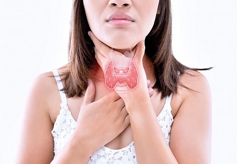 Thyroid 