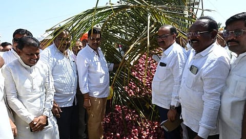 Nashik News : उन्हाळी कांद्याला मिळाला सर्वांधिक ३ हजार १ रुपये भाव, देवळा बाजार समितीच्या निंबोळा उपबाजार आवारात लिलावास प्रारंभ