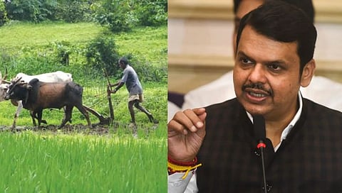 खुशखबर! शेतकऱ्यांना मिळणार दिवसा वीज, २५ हजार रोजगार निर्मिती