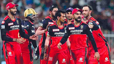 RCB : 16 वर्षांनंतरही आरसीबीच्या पदरी प्रतीक्षाच!