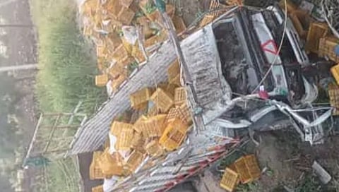टेम्‍पो पुलावरून खाली कोसळला
