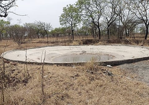 वनक्षेत्रातील पाणवठे कोरडे; वन्यप्राण्यांची पाण्यासाठी नागरी वस्तीकडे धाव