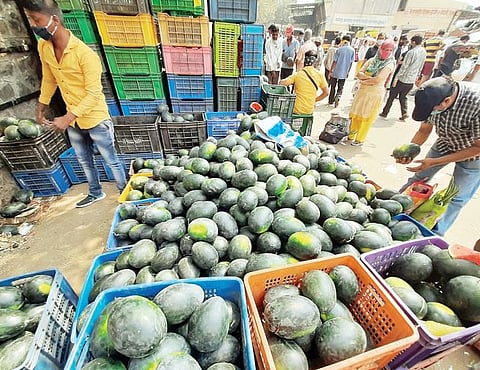 उकाड्यामुळे खरबूज, पपई खातेय भाव; रसदार फळांकडे नागरिकांचा कल