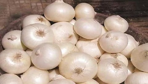 Onion Export | सफेद कांदा निर्यातीला केंद्राची परवानगी, उन्हाळ कांद्यावर बंदी कायम