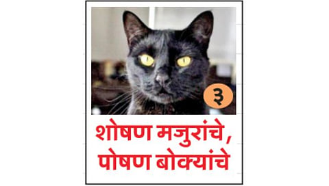कोल्हापूर : कायदा धाब्यावर बसवून सोसायट्यांचा कारभार