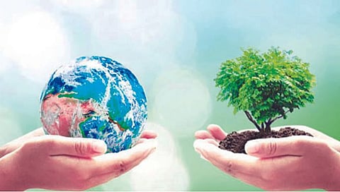 पर्यावरणाचा र्‍हास आणि बिघडणारे जीवनचक्र