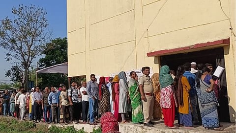 voter 