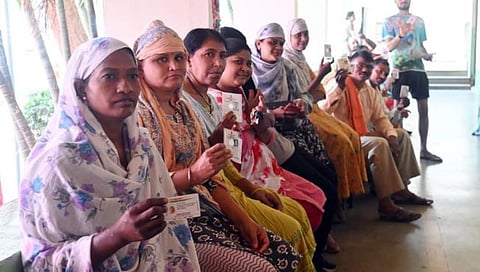 voter  