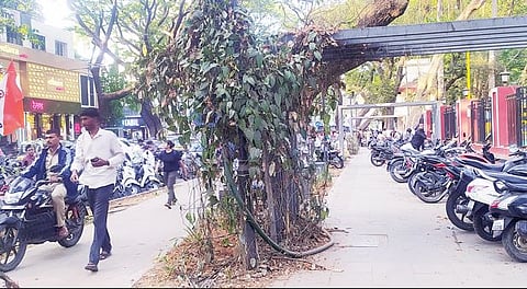 जंगली महाराज रस्त्यावरील ‘अर्बन स्ट्रीट’चे तीनतेरा; दुचाकी पार्किंगमुळे दुरवस्था