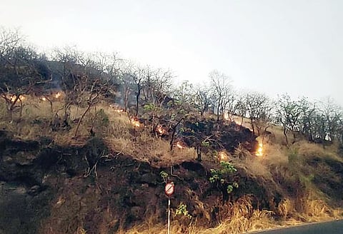 कात्रज घाटात वणवा! धूम्रपान करणार्‍यांमुळे वणवा लागण्याच्या घटना