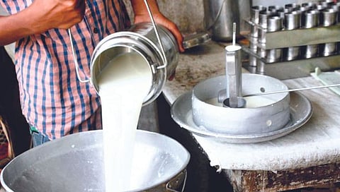 कोल्हापूर : दूध संस्थेचा चालक तोच मालक