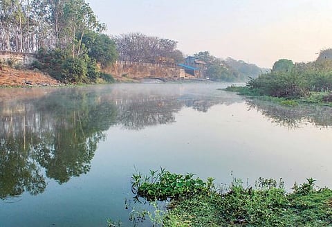 राम नदीत एन्झाइमचा वापर नको : एनजीटीचे महापालिकेला आदेश