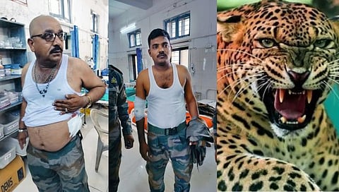 Nashik Leopard Attack | इगतपुरीत भरदिवसा बिबट्याचा थरार, पाच ते सहा वनरक्षक हल्ल्यात जखमी