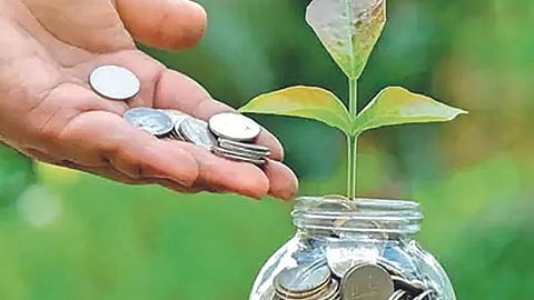 Investment Rule 72 and 114 