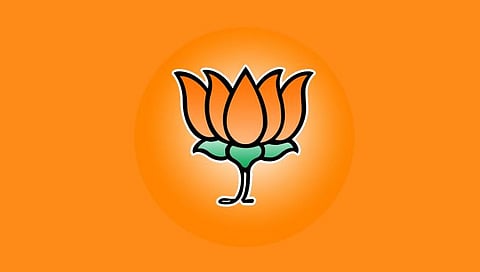 चुकांची जबाबदारी सामूहिक; समन्वयाच्या अभावावरून भाजप नेत्यांची पक्षश्रेष्ठींकडून कानउघाडणी