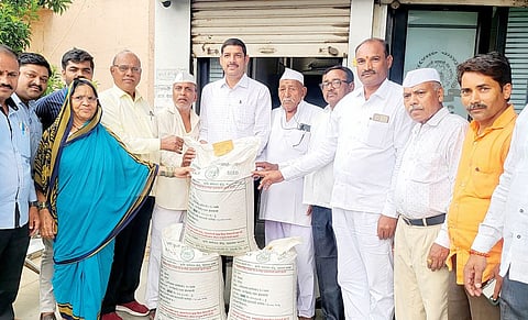 पहिल्या पिढीच्या बियाणातून ‘इंद्रायणी’चे उत्पादन; शेतकर्‍यांना बियाणांचे वाटप
