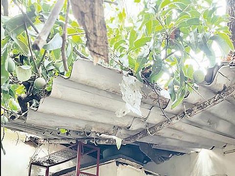 अवकाळी पावसाने शेतकर्‍यांचे नुकसान; घरांचे, गोठ्यांचे पत्रे उडाले, भाजीपाला, फळबागांना फटका