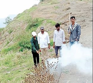 सिंहगडावर मधमाश्यांच्या हल्ल्यात पर्यटक जखमी; मोठी दुर्घटना टळली
