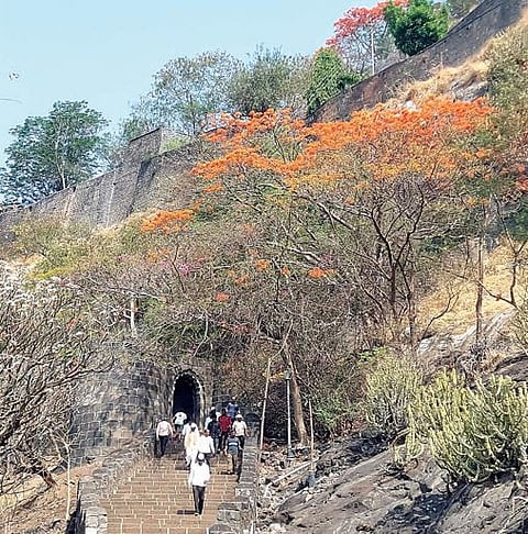 चैत्र वसंतोत्सव आला; बहावा बहरला!