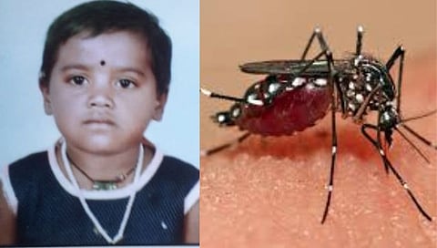 गडचिरोली जिल्ह्यातील कोरची तालुक्यातील बालिकेचा मलेरियाने मृत्यू  
