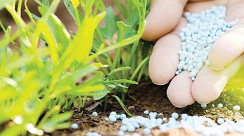 Urea prices have been increased illegally in Baramati