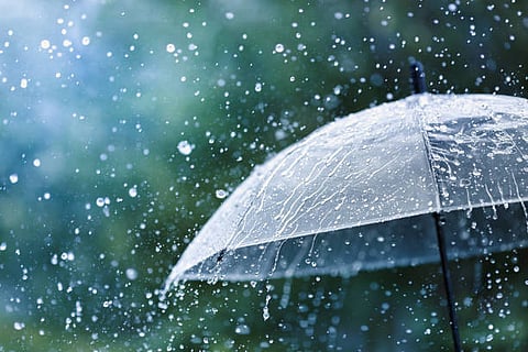 Rainfall News