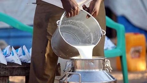 The price of milk 