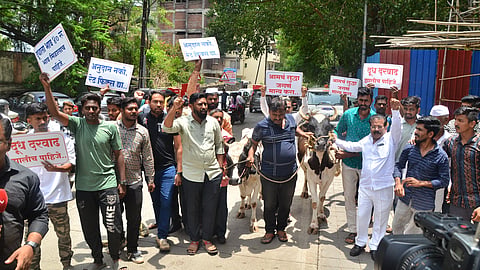 Farmers protest in Nashik for milk price hike