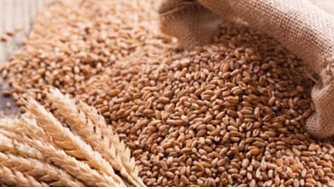 Wheat prices Centre Government 