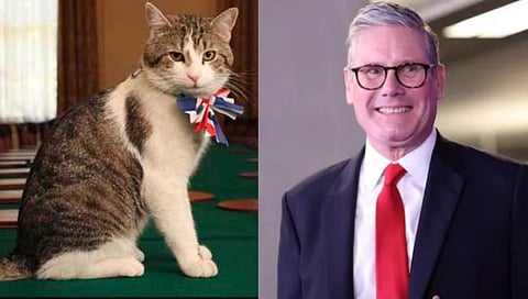 Larry the cat