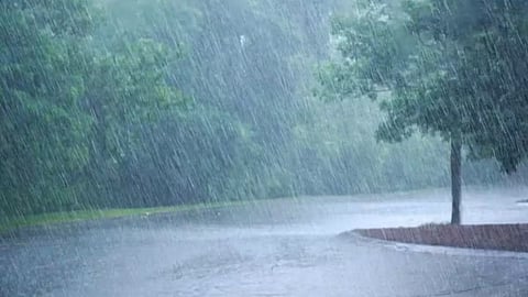 Rain deficit in 23 districts