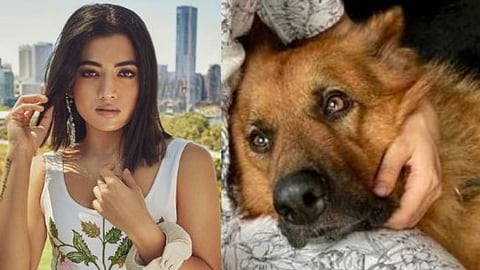 Rashmika Mandanna dog maxi 