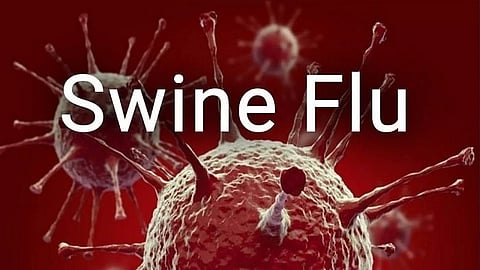  swine flu